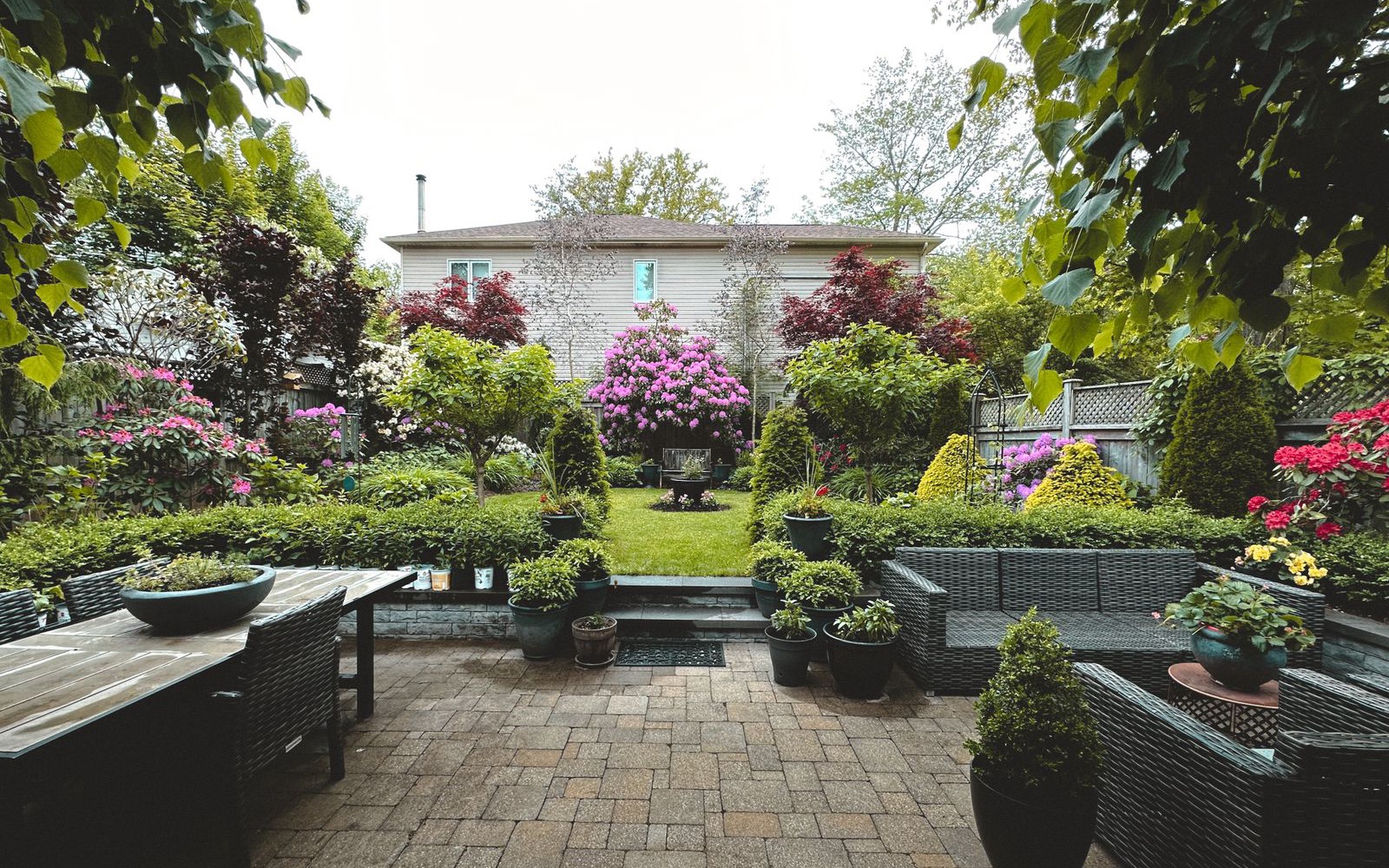 A designed back garden with a block-paved terrace, planted beds and clipped structure set out around a lawn